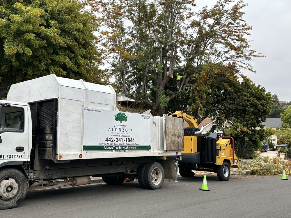 Alonzo's Tree Service Inc truck and chipper on a tree job
